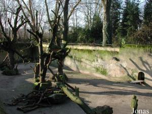 Ancienne fosse aux ours, utilisée pour des porcs-épics et des ratons laveurs