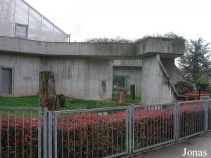 Enclos extérieurs de l'installation des grands singes