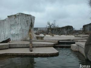 Nouvelle installation des ours polaires