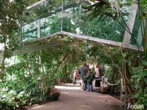 Tunnel de verre reliant les cages intérieures aux enclos extérieurs