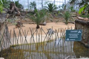 Enclos des crocodiles du Nil au cœur de l'Hippodom