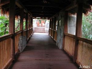 Passerelle dans la serre tropicale