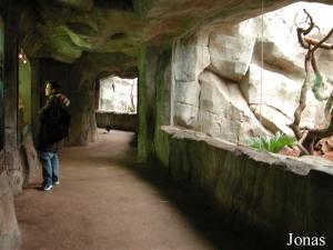 Tunnel rocheux