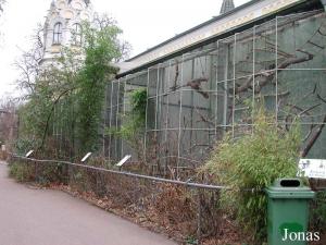 Cages extérieures de la maison des singes