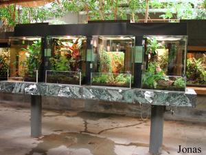 Vivarium