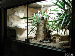 Vivarium