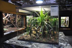 Vivarium