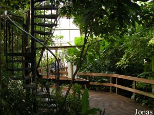 Ponton de bois et escalier en colimaçon