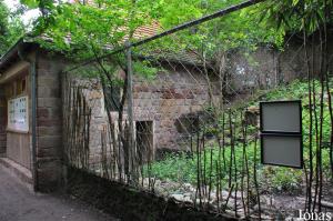 Ancien enclos des loups occupé par quelques boucs