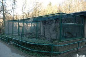 Cages des panthères de Chine