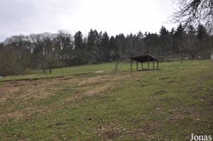 Vue sur la partie herbeuse du grand enclos des kangourous et des émeus