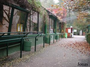 Cages des lémuriens