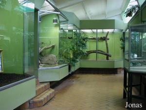 Vivarium dans la maison de Madagascar