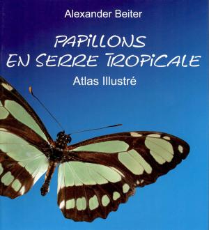 Guide 2005 - Edition française