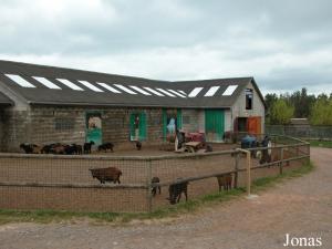 Enclos de contact des animaux domestiques