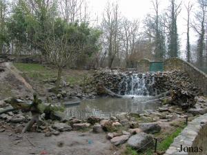 Installation des loutres à griffes courtes