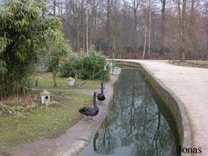 Enclos des oiseaux aquatiques