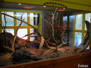 Vivarium australien