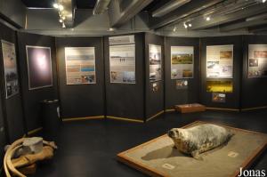 Exposition temporaire sur la Mer des Wadden