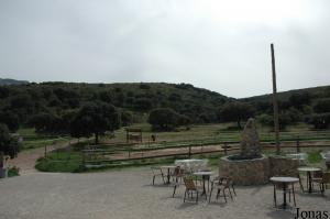 Terrasse et enclos des chevaux andalous