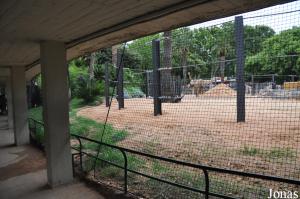 Enclos des éléphants vu du niveau du sol, sous la passerelle