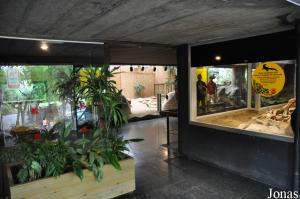 Vue générale de l'intérieur du vivarium