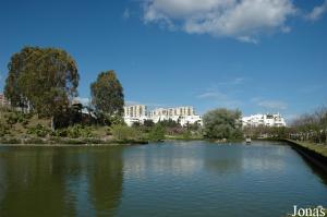 Plan d'eau au Parque de La Paloma