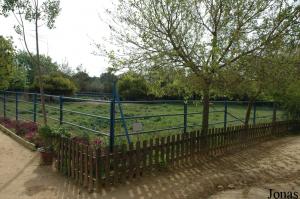 Enclos des lamas et des yacks