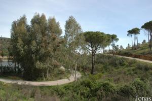 Enclos des dromadaires, des watussis et des chevaux