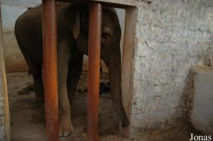 Tsje Pyan dans le bâtiment intérieur