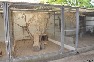 Volières pour paon bleu et tortue sillonnée