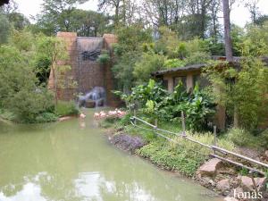 Bassin des flamants, île des saimiris et tour inca