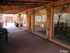 Enclos intérieur des sakis et de l'agouti