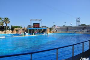 Bassin de spectacle des grands dauphins