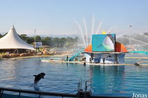 Spectacle des orques