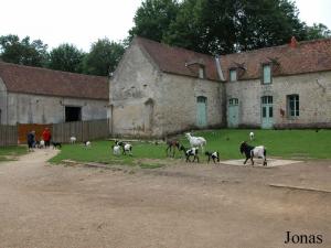 Ferme pédagogique