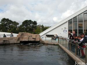 Bassin des phoques veaux-marins vu de l'extérieur