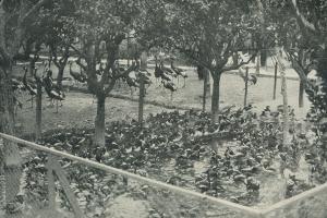 La vie à la campagne 1928