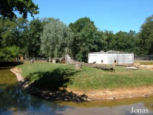 Première île des chimpanzés