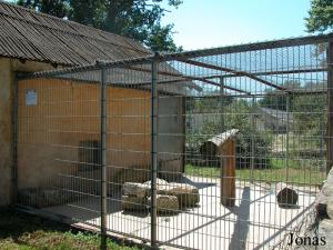 Cage des panthères des neiges