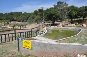 Nouvel enclos de l'hippopotame en cours de finition