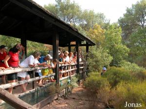 Visite guidée au Village des Tortues