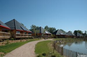 Safari Lodges et plan d'eau