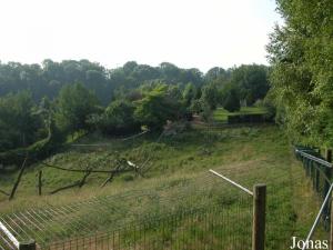 Enclos des loups à crinière, des tapirs et des capybaras