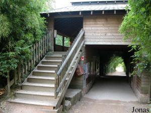 Observatoire des tigres blancs et des panthères