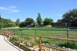 Enclos des tapirs terrestres et des capybaras