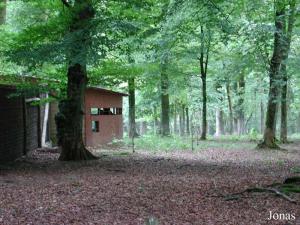 Enclos des loups à crinière et affût