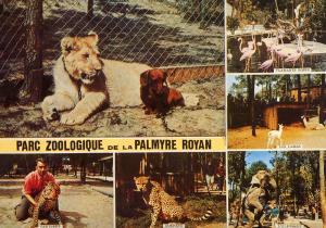 Carte postale