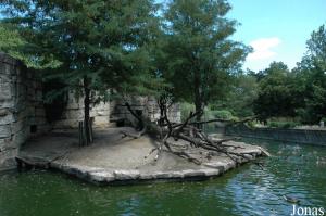 Un des enclos des lions de l'Atlas