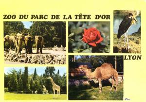 Carte postale